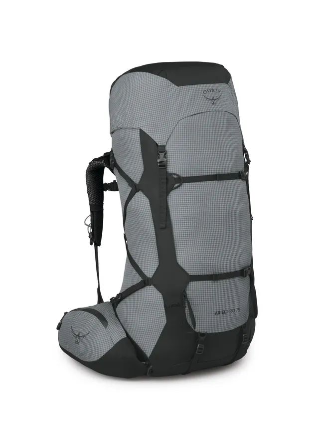 osprey-ariel-pro-75l-women-s-backpacking-backpack-silver-lining-wm-wl image 1