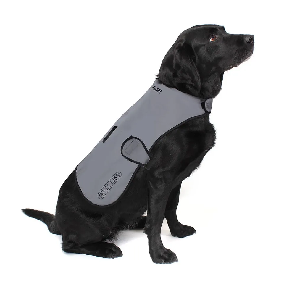 proviz-reflective-waterproof-dog-coat image 1