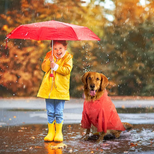 kingcamp-pets-dog-raincoat-xxxl image 1
