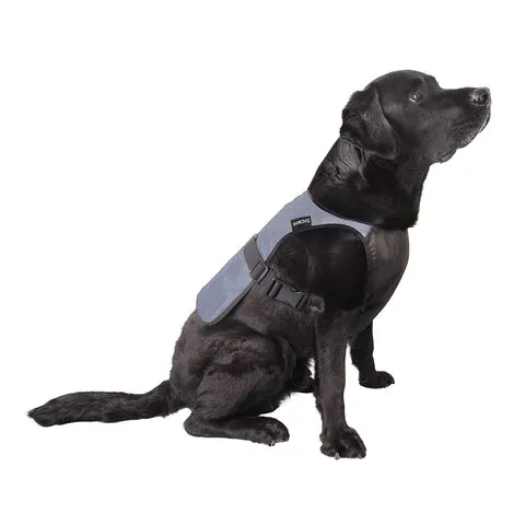 proviz-reflect360-fully-reflective-dog-vest image 1