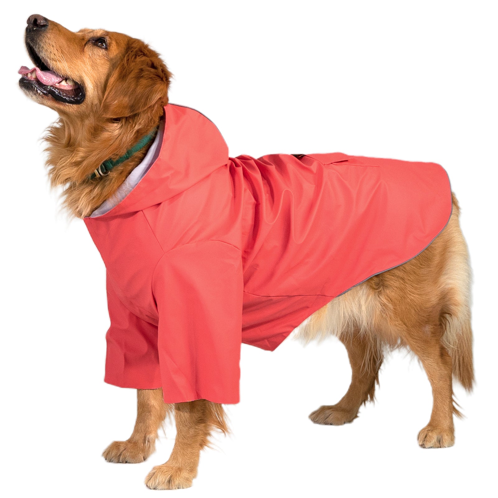kingcamp-pets-dog-raincoat-xxxl image 6