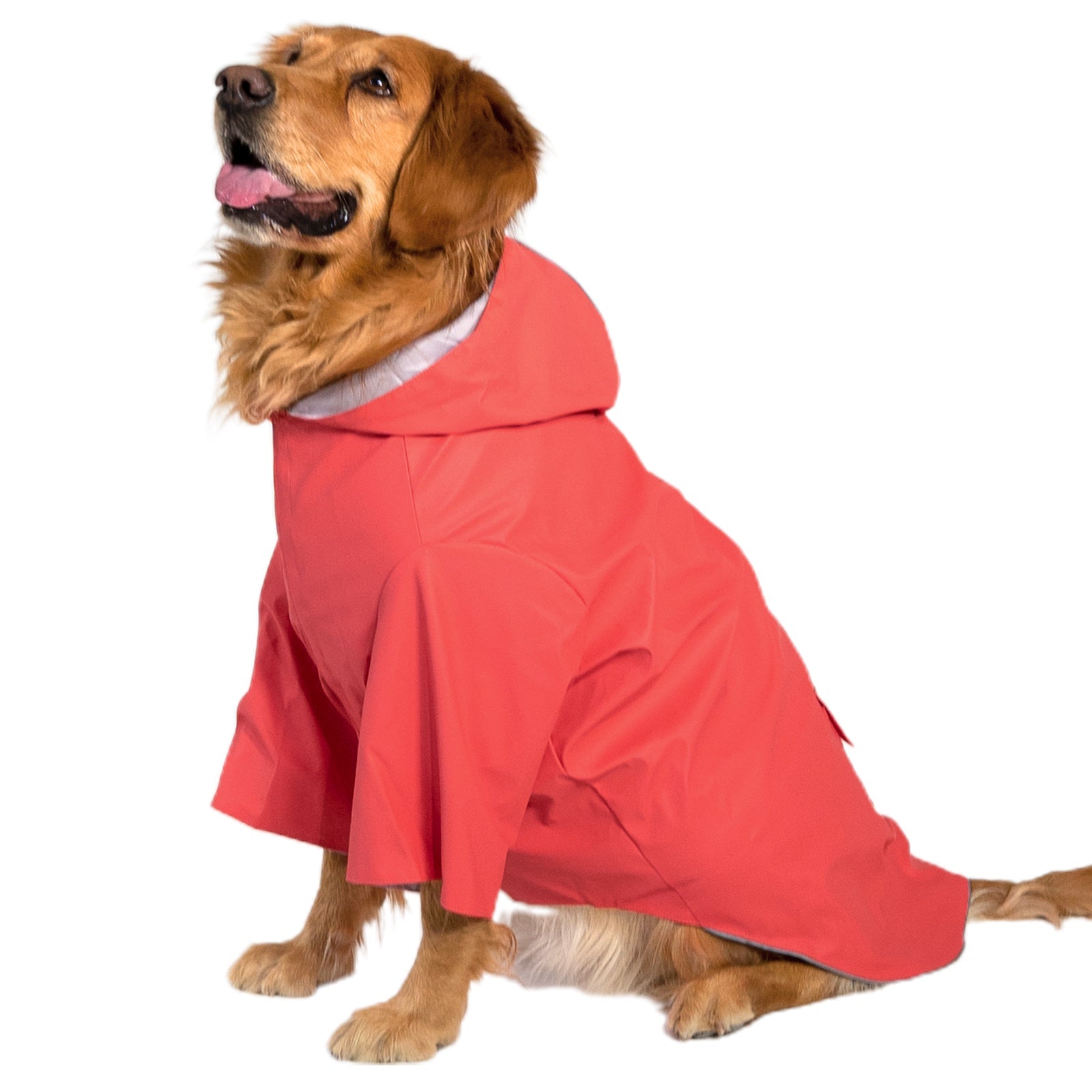 kingcamp-pets-dog-raincoat-xxxl image 2