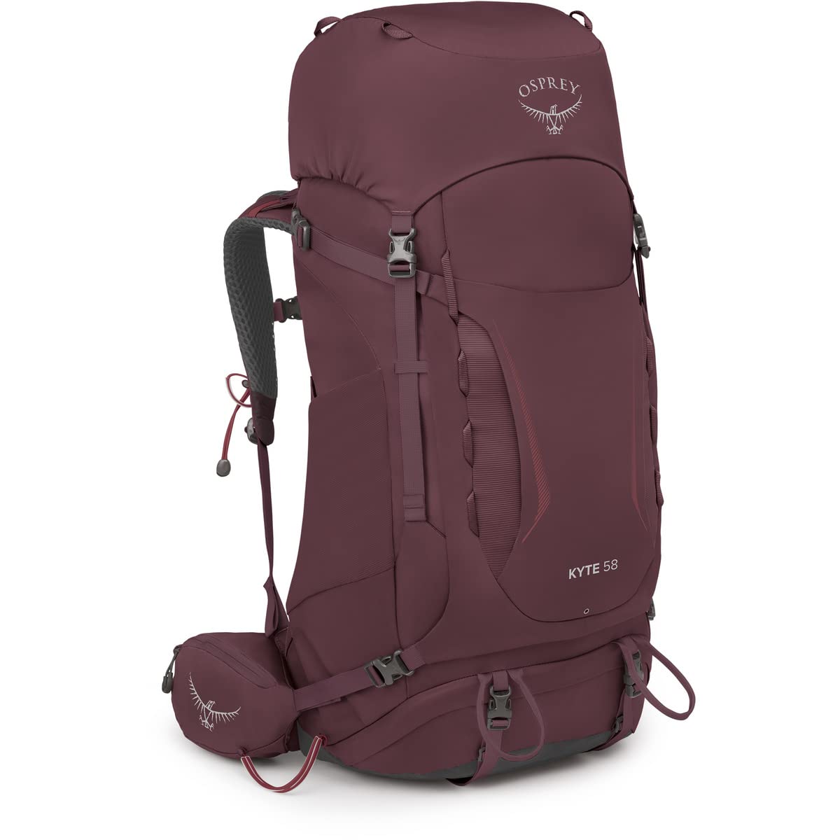 osprey-kyte-58l-women-s-backpacking-backpack image 1