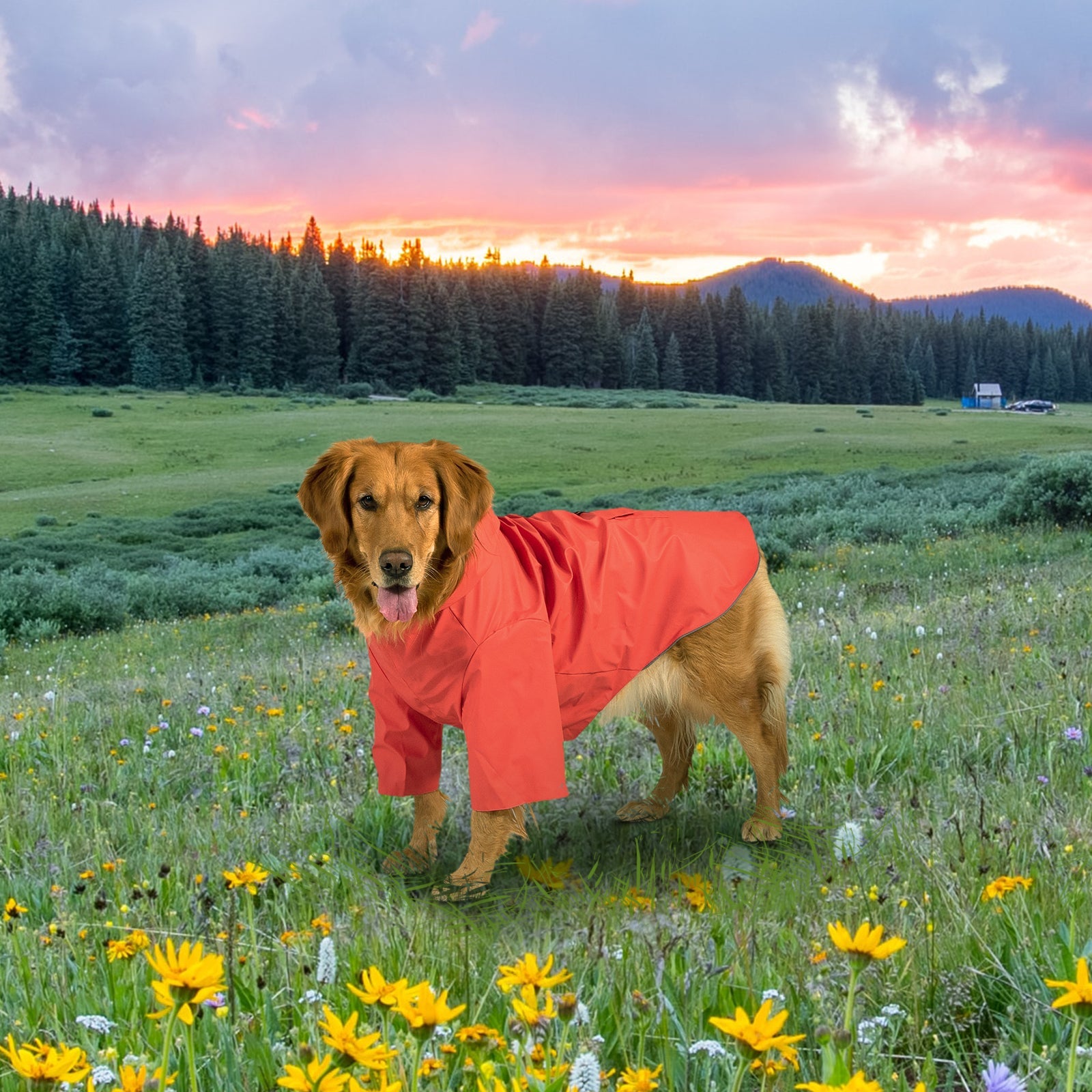 kingcamp-pets-dog-raincoat-xxxl image 3