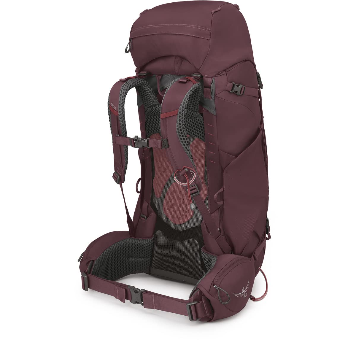 osprey-kyte-58l-women-s-backpacking-backpack image 2