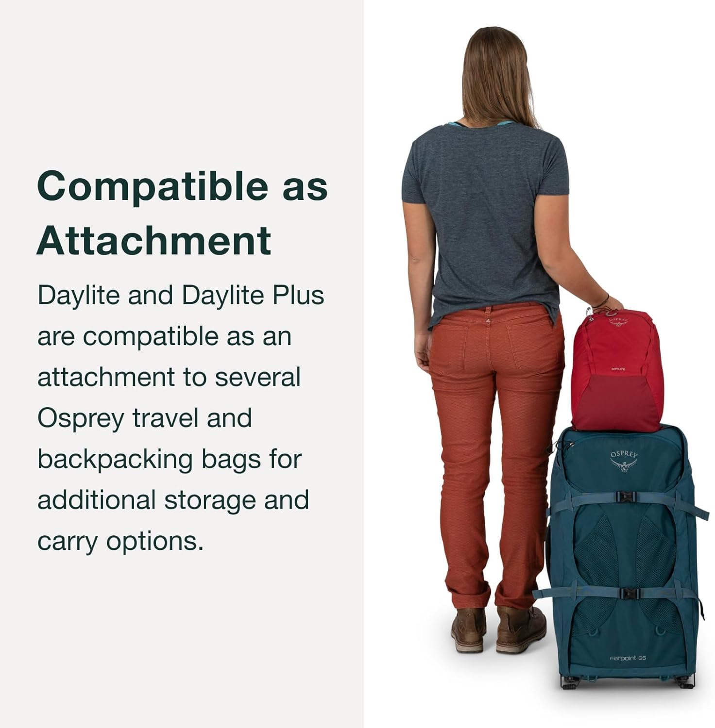 osprey-daylite-plus-backpack-pistachio image 8
