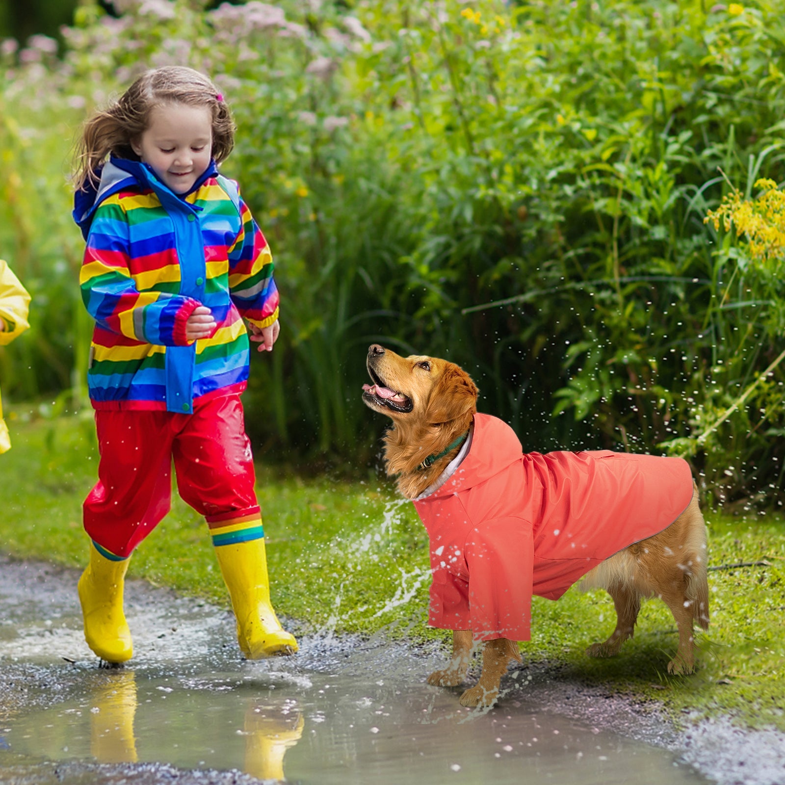 kingcamp-pets-dog-raincoat-xxxl image 4