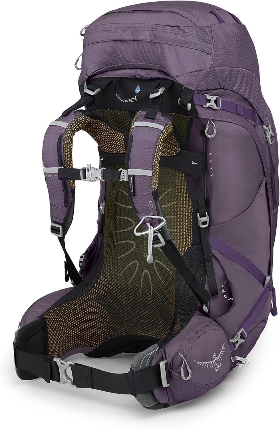 osprey-aura-ag-65l-women-s-backpacking-backpack-enchantment-purple-wxs-s image 7