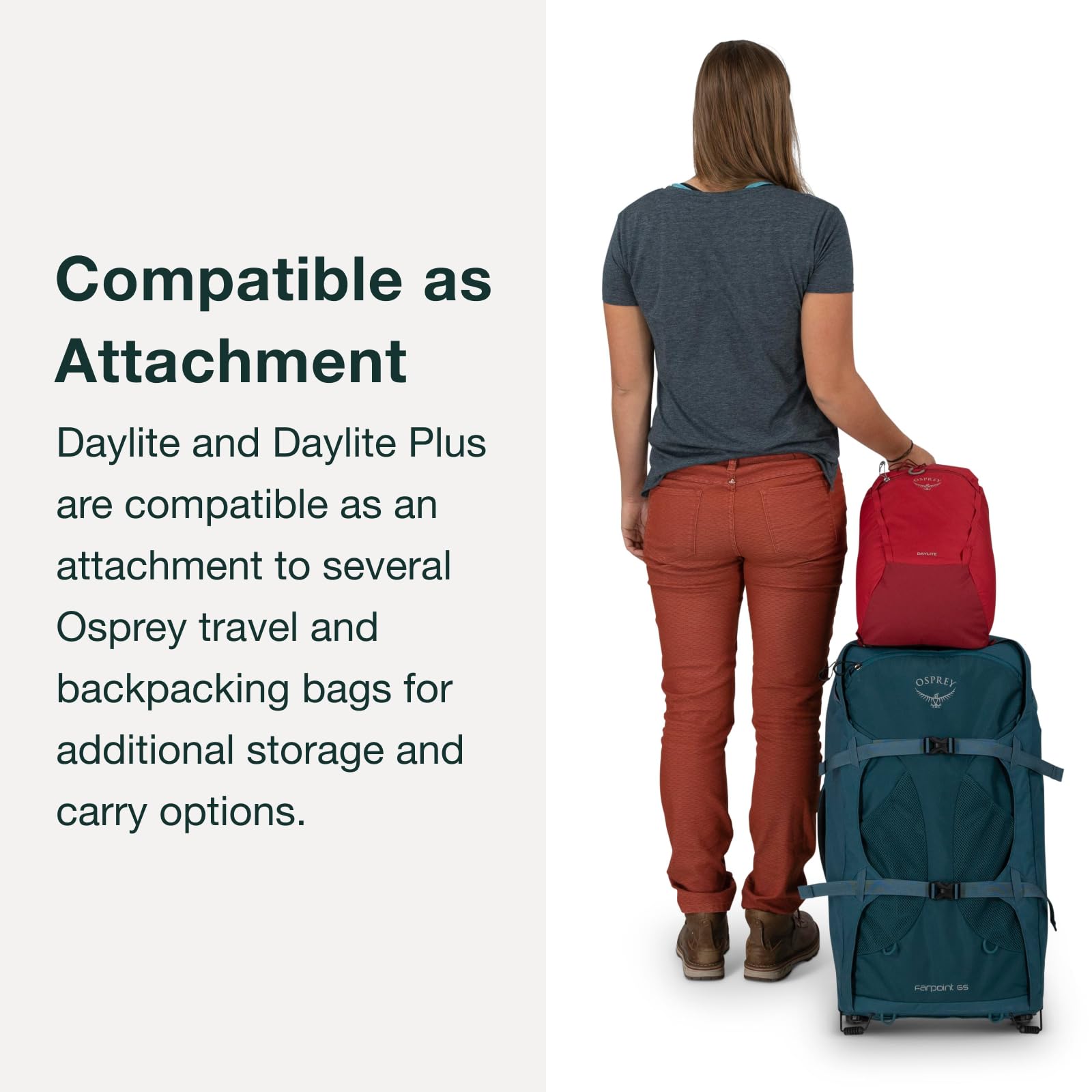 osprey-daylite-plus-commuter-backpack image 5