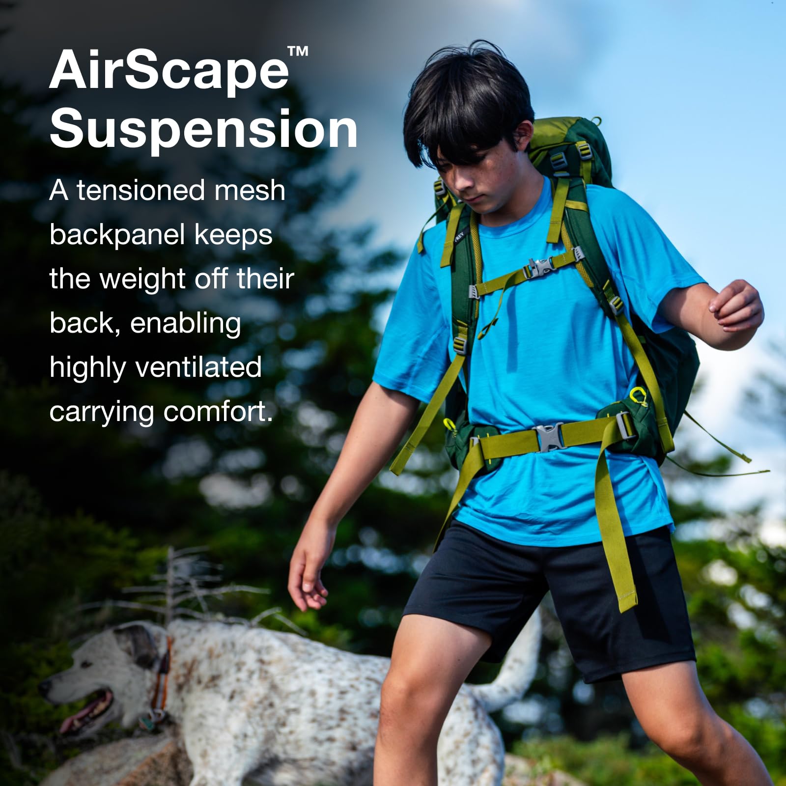 osprey-ace-38l-kids-backpacking-backpack-blue-spikemoss-deep-peyto image 5