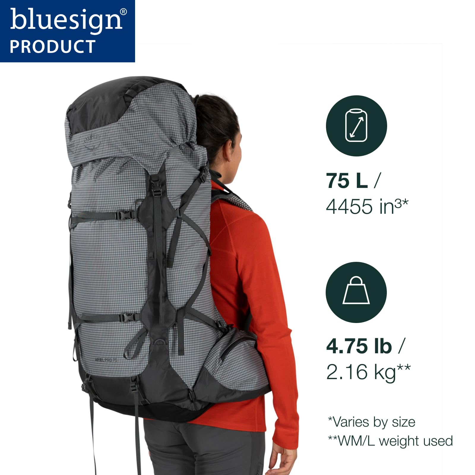 osprey-ariel-pro-75l-women-s-backpacking-backpack-silver-lining-wm-wl image 2