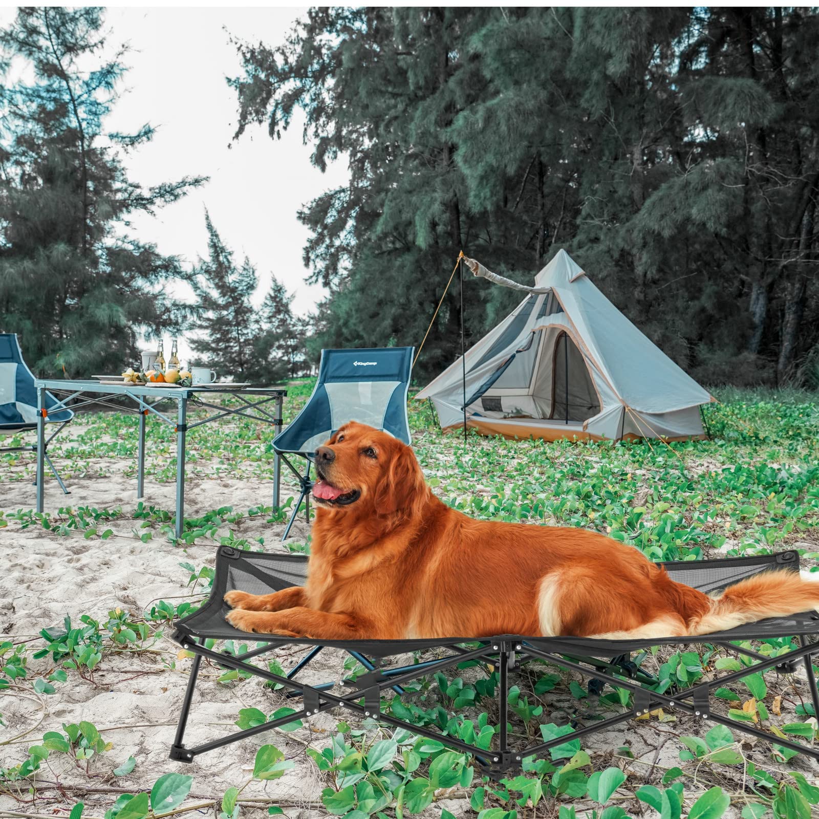 kingcamp-pets-sedum-l-plus-dog-bed-cot image 2