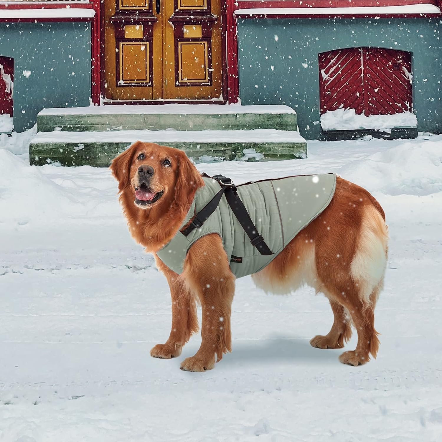 kingcamp-pets-winter-dog-coat-with-harness image 7