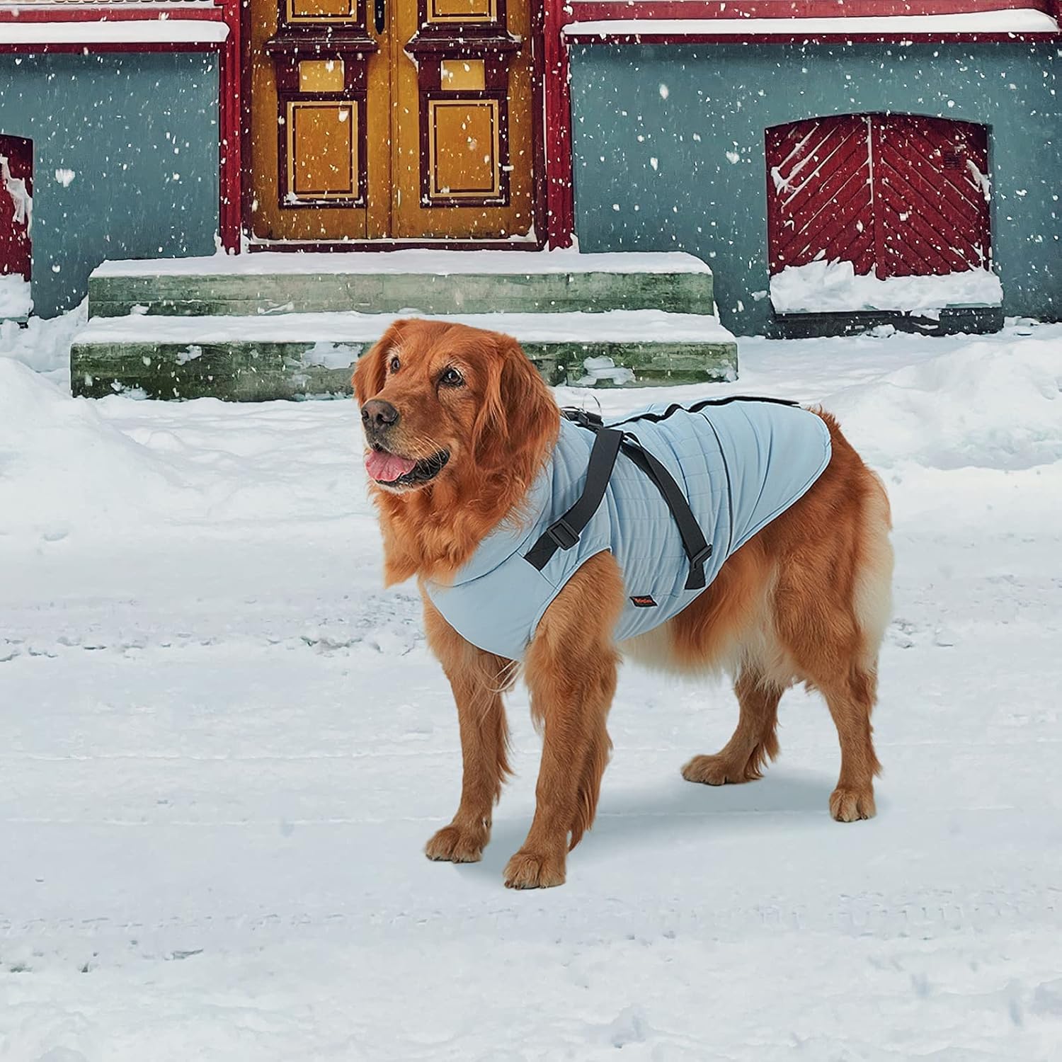 kingcamp-pets-winter-dog-coat-with-harness image 2