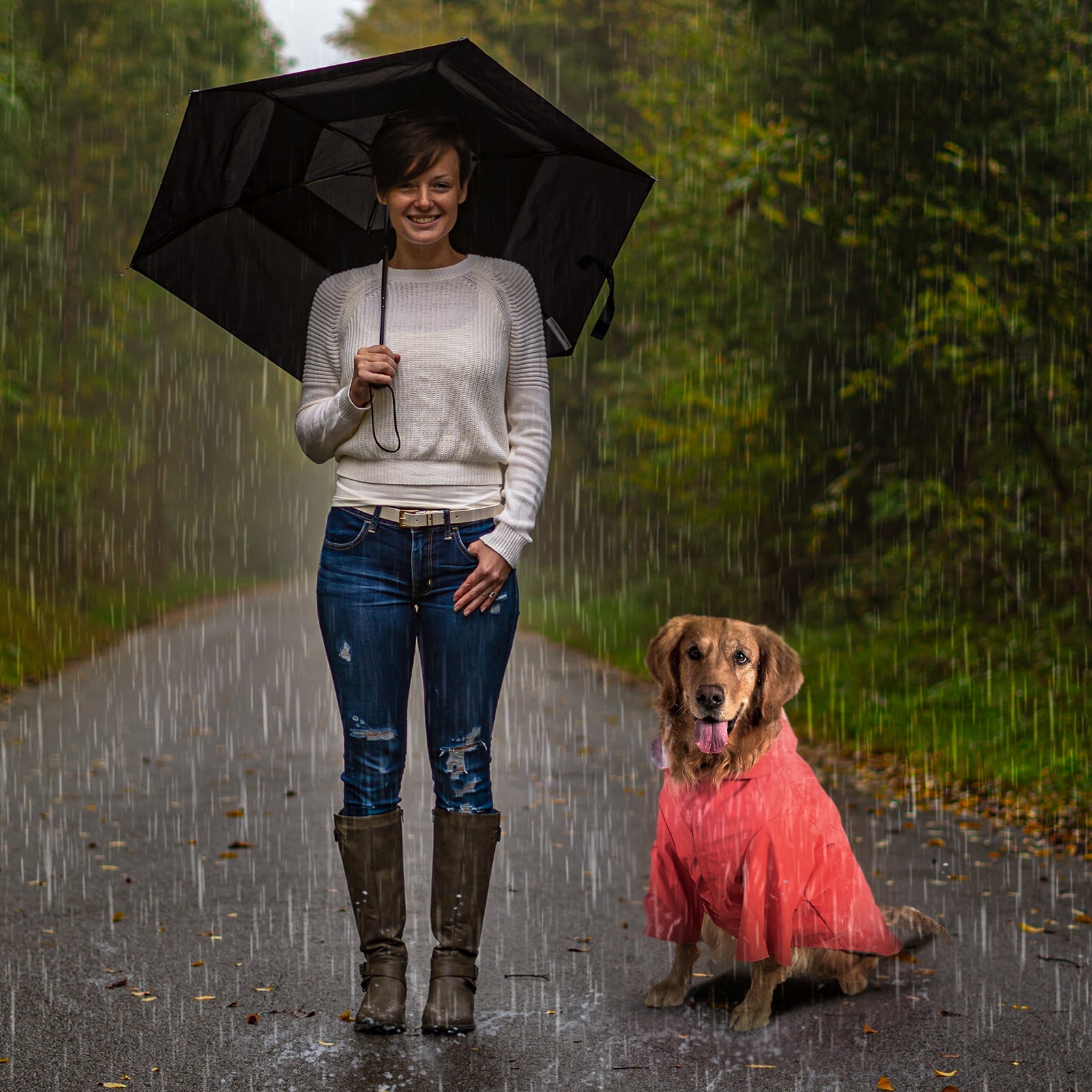 kingcamp-pets-dog-raincoat-xxxl image 5