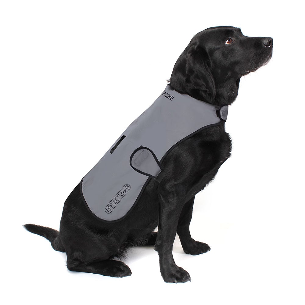 proviz-reflective-waterproof-dog-coat image 1