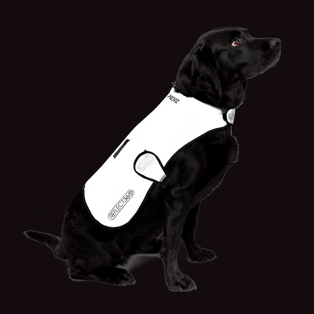 proviz-reflective-waterproof-fleece-lined-dog-coat image 3