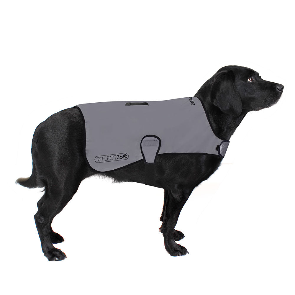 proviz-reflective-waterproof-dog-coat image 6