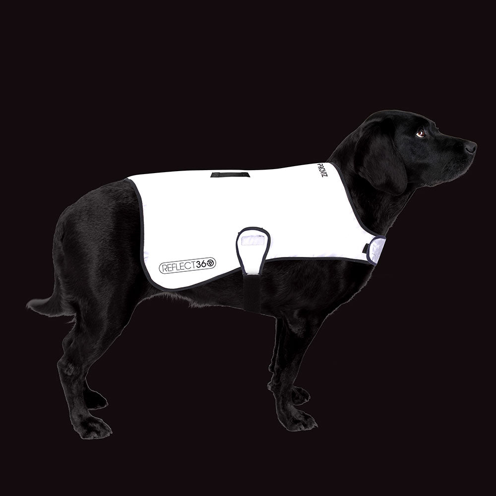 proviz-reflective-waterproof-dog-coat image 7