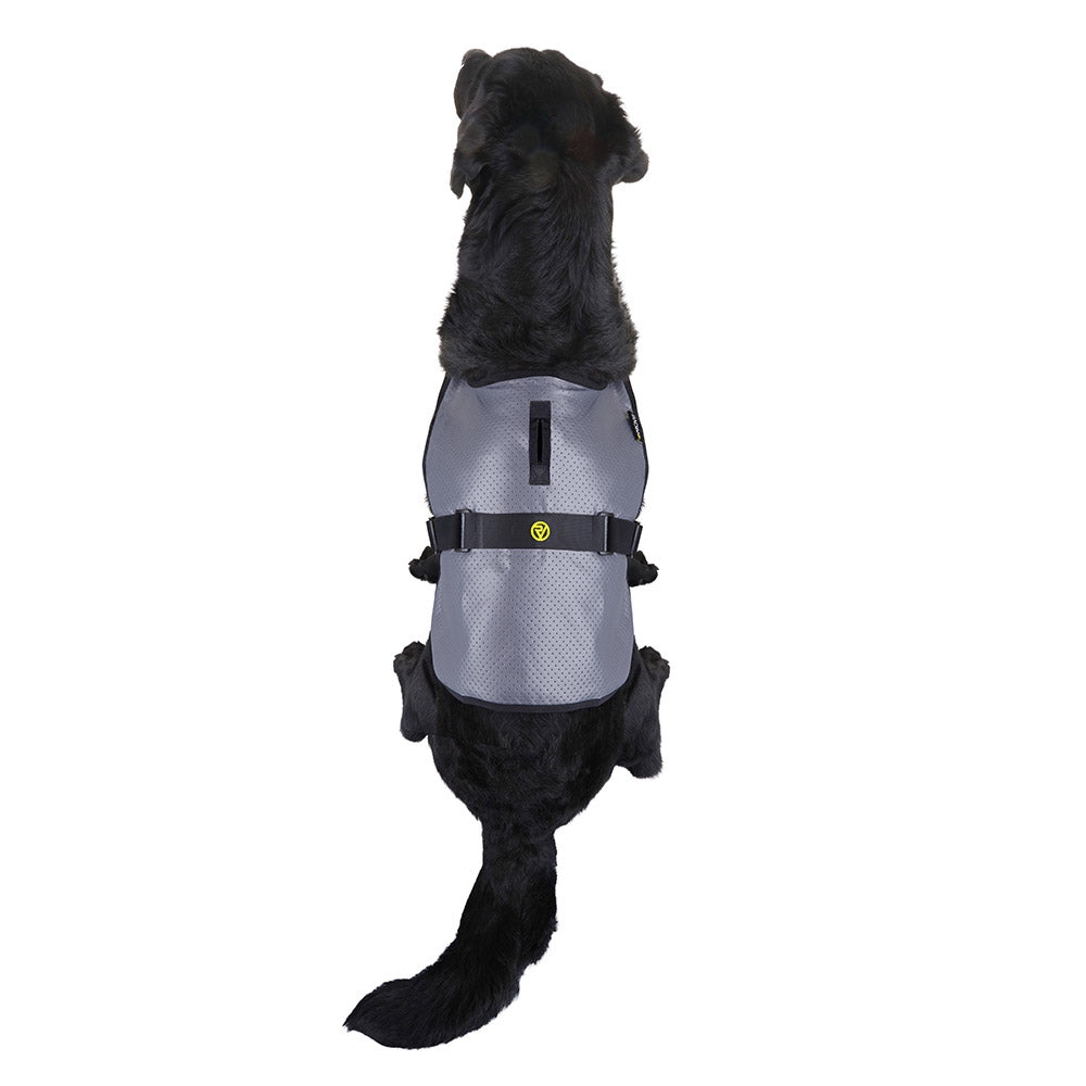 proviz-reflect360-fully-reflective-dog-vest image 4