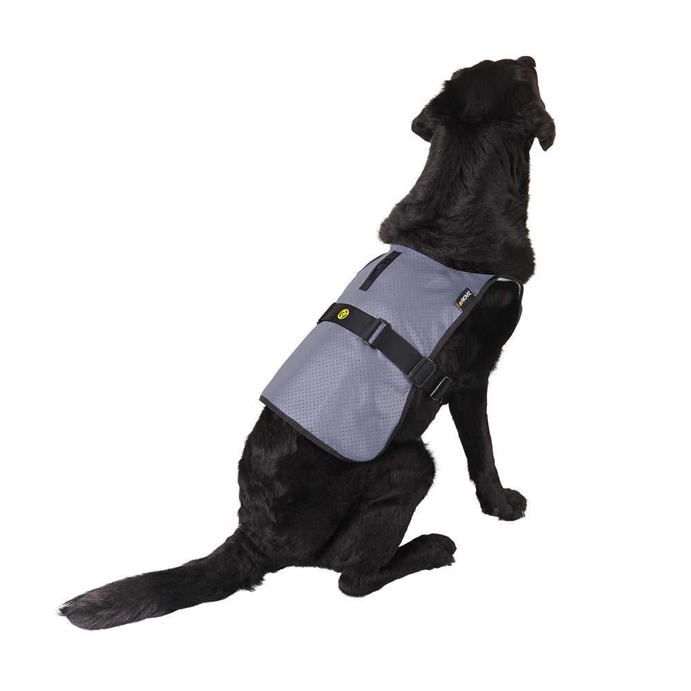proviz-reflect360-fully-reflective-dog-vest image 5
