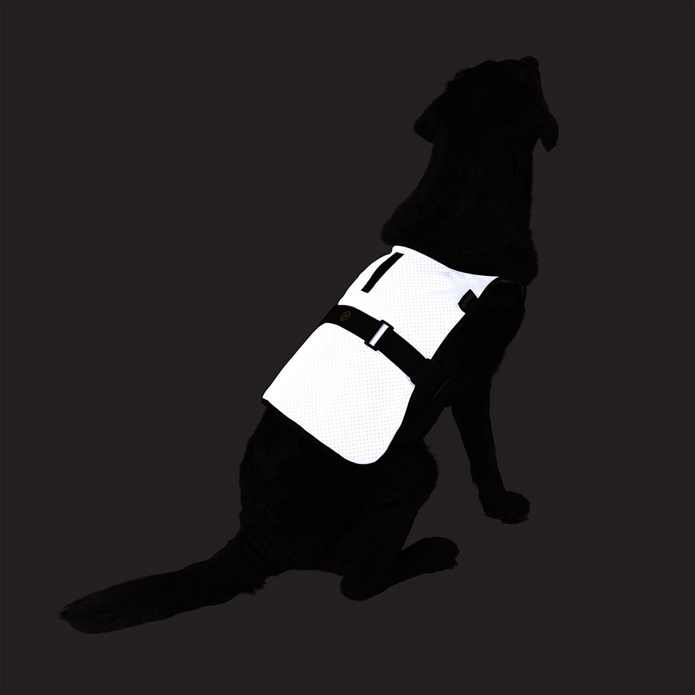 proviz-reflect360-fully-reflective-dog-vest image 7