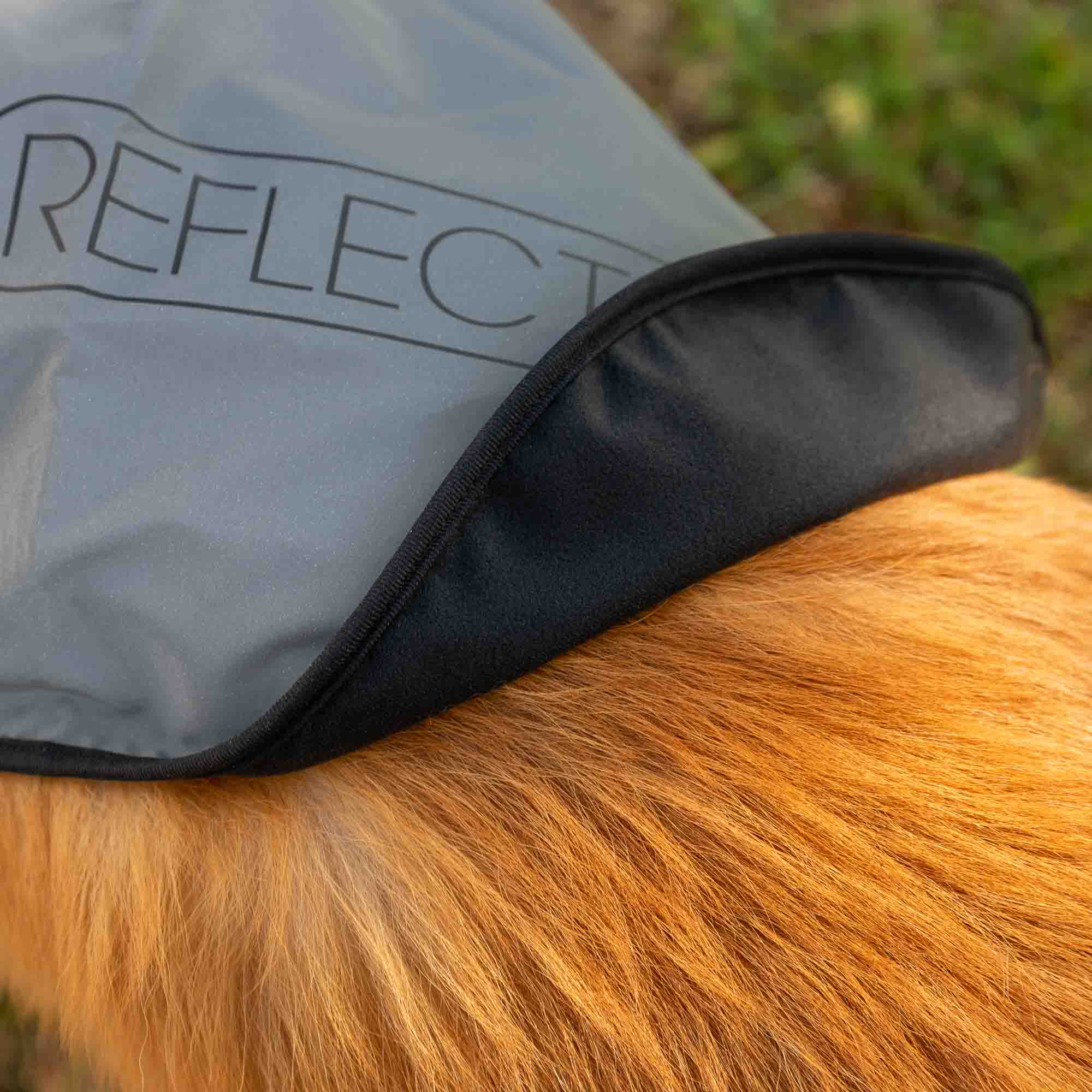 proviz-reflective-waterproof-fleece-lined-dog-coat image 7