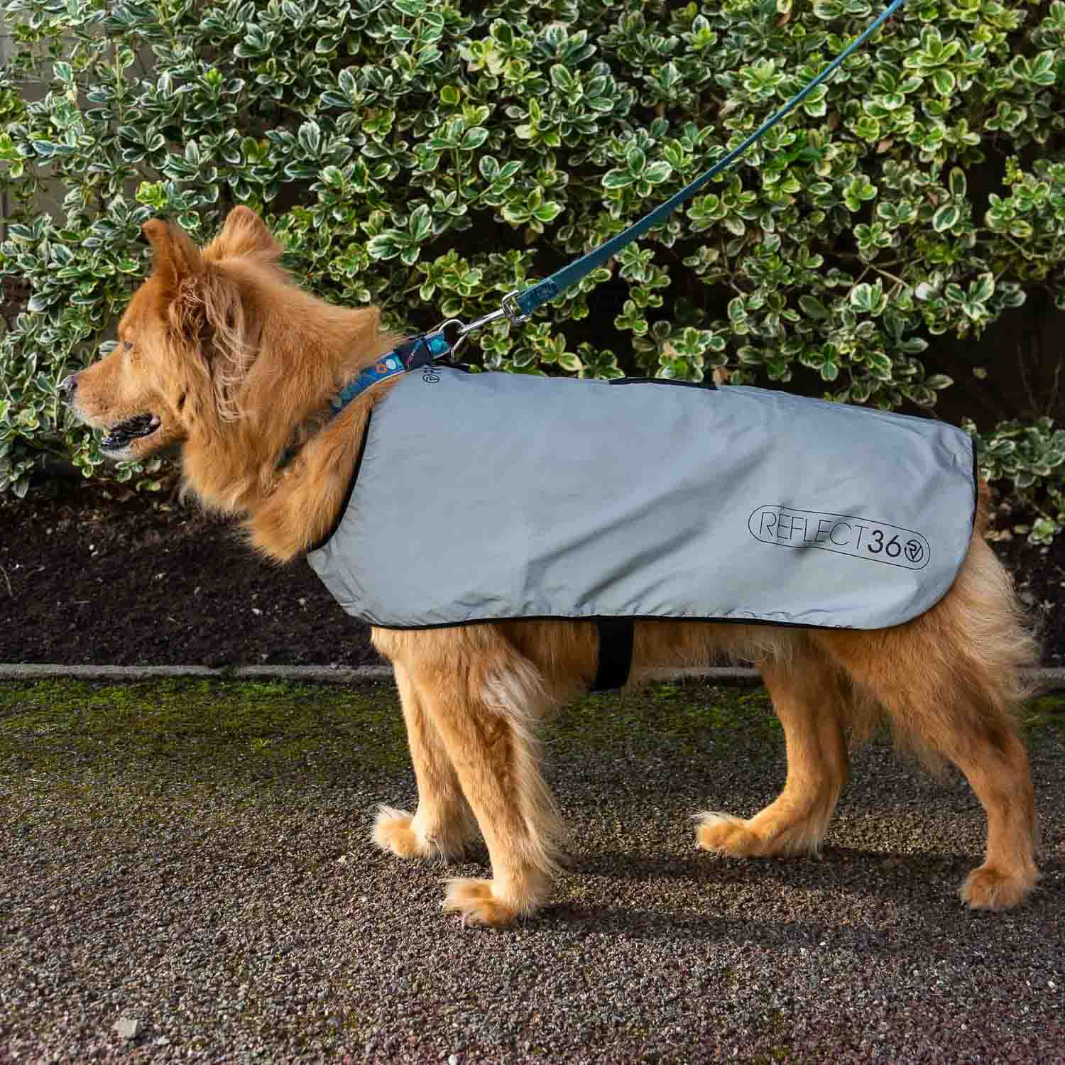 proviz-reflective-waterproof-fleece-lined-dog-coat image 6