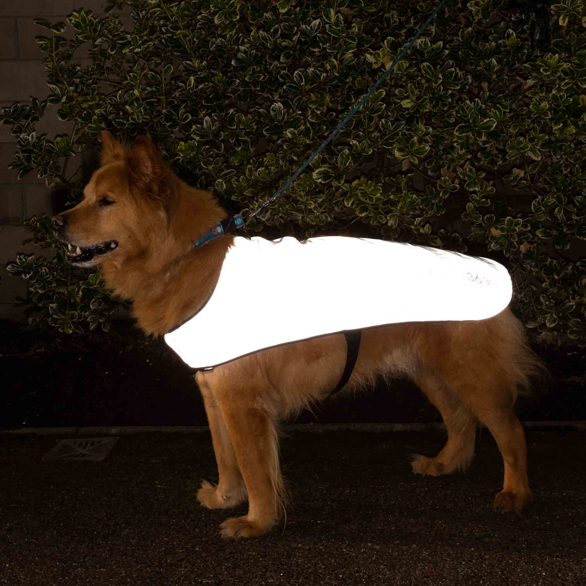 proviz-reflective-waterproof-fleece-lined-dog-coat image 5