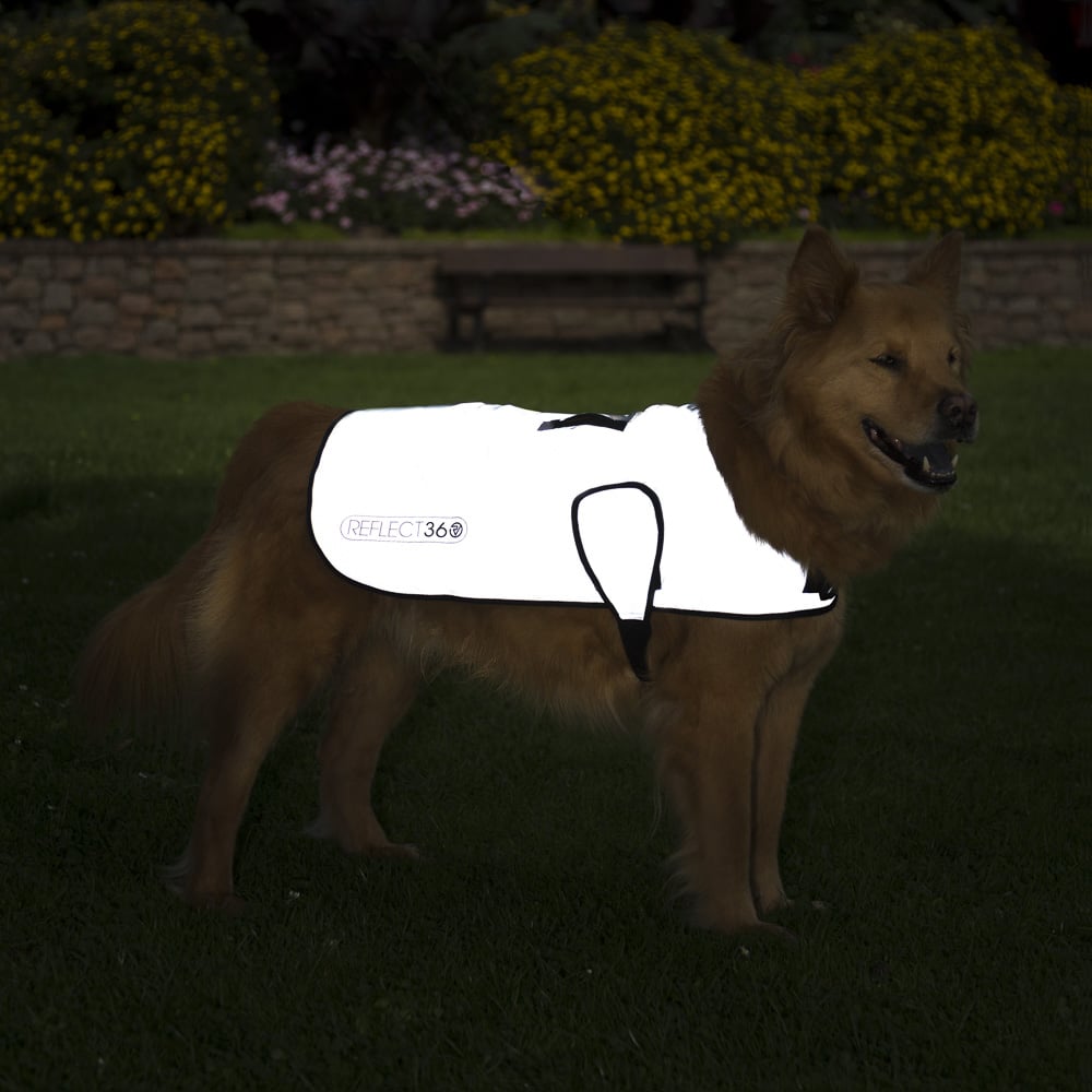 proviz-reflective-waterproof-dog-coat image 4