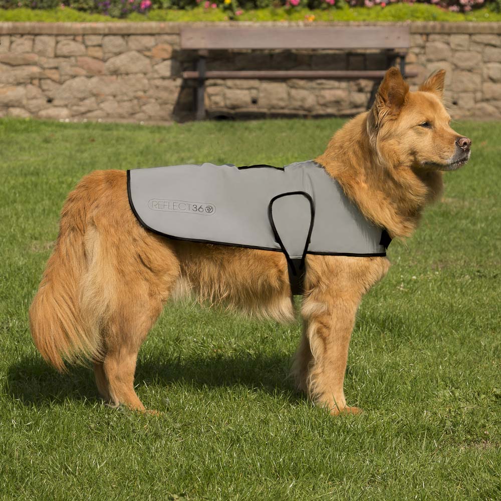 proviz-reflective-waterproof-dog-coat image 5