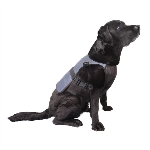 proviz-reflect360-fully-reflective-dog-vest image 1