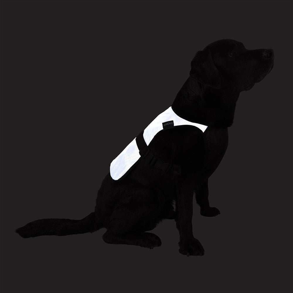 proviz-reflect360-fully-reflective-dog-vest image 8