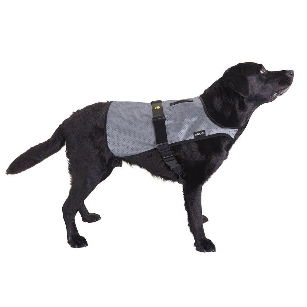 proviz-reflect360-fully-reflective-dog-vest image 3