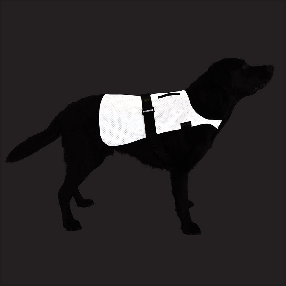proviz-reflect360-fully-reflective-dog-vest image 6